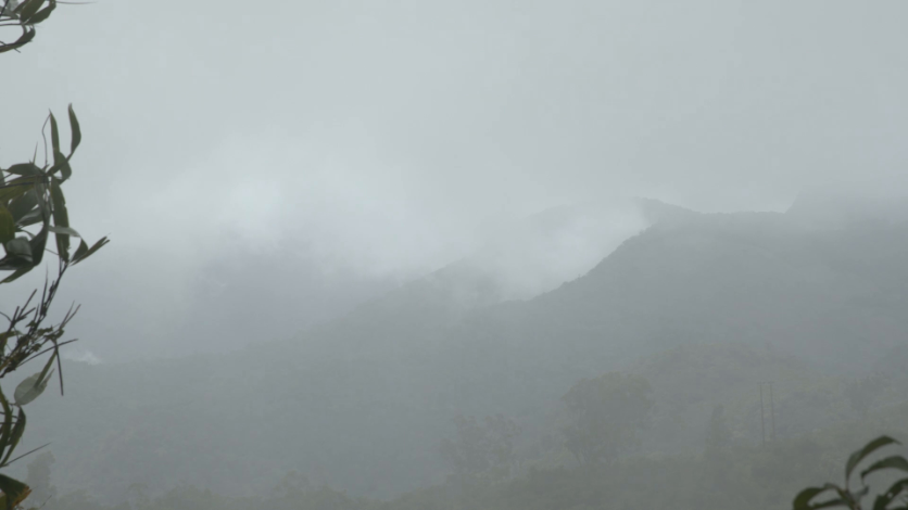 Thick fog engulfing a hill top