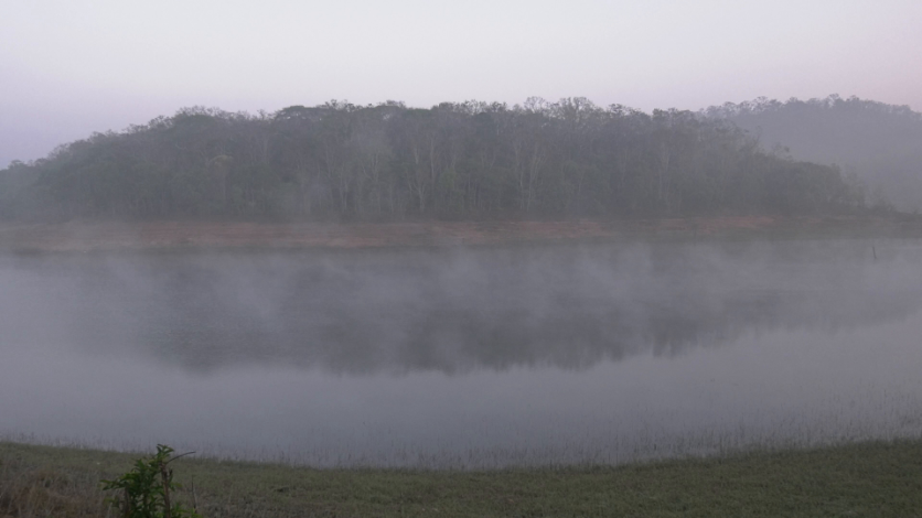 Morning mist over a riverbank