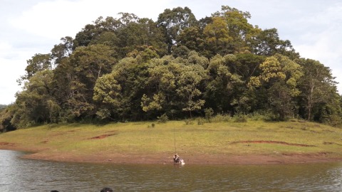 A lone old man fishing at Periyar Lake