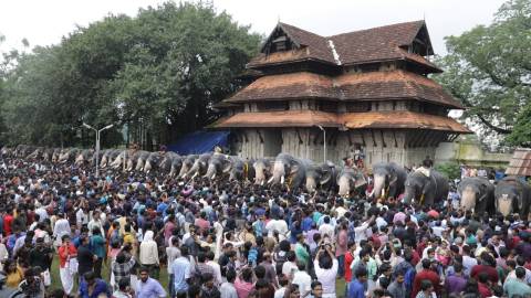 Aanayoottu Festival at Vadakkunnathan Temple, Thrissur