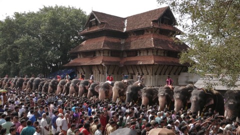 Aanayoottu festival, Thrissur, Kerala