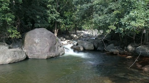 Adyanpara waterfalls nestled inside forest