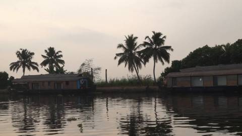 Houseboats at Alappuzha backwaters, Kerala
