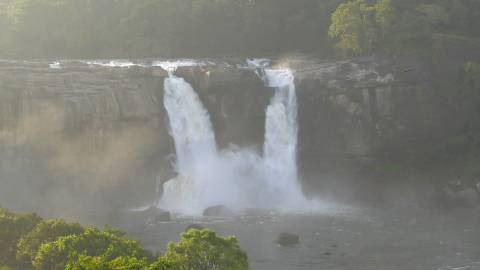 Early morning scene at Athirappilly waterfalls