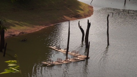 Bamboo rafts floating in Periyar Lake
