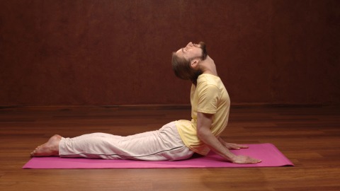 Bhujangasana Yoga Posture
