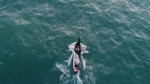 Aerial shot of a fishing boat