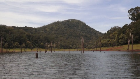 Bountiful nature at Periyar National Park and Wildlife Sanctuary