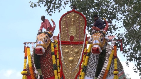 Bull effigies at Ochira Parabrahma Temple, Kollam