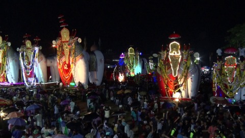 Bull effigies displayed at Ochira Kalakettu festival, Kerala