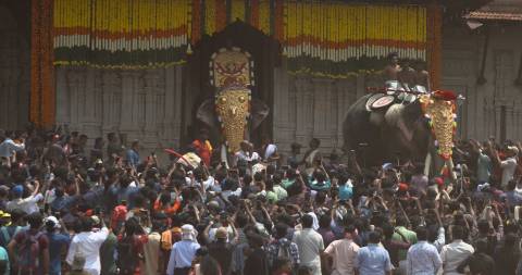 Elephants wearing Thidambu for the Thrissur Pooram festival