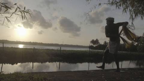 Cast net fishing, Kerala