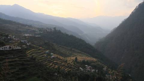Farmland in Uttarakhand, India
