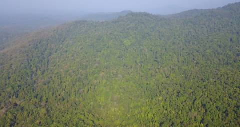 Aerial shot of Wayanad forest