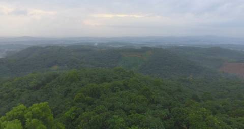 Green landscape in Kerala