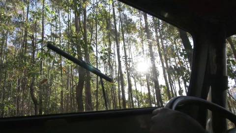 A rocky forest jeep safari in Munnar, Kerala
