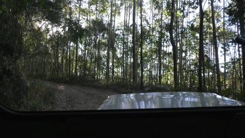 Forest Jeep Safari making its way up Munnar hills, Kerala