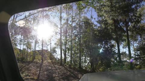 POV shot of forest jeep safari climbing up the hills
