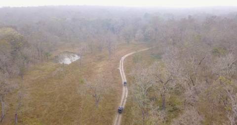 Jeep Safari at Wayanad forest, Kerala