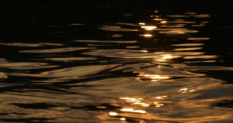 Golden sun rays in the backwaters, Kerala