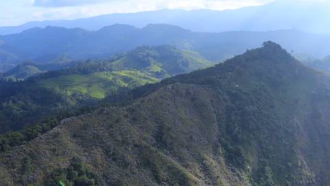 Undulating hills at Munnar, Idukki, Kerala