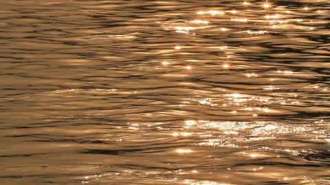 Golden light on River Ganga, Haridwar