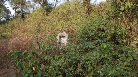 Jewish Cemetery covered in thickets near Kottayil Kovilakam