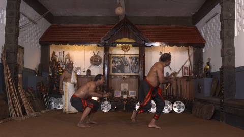 Fighting techniques in Kalaripayattu