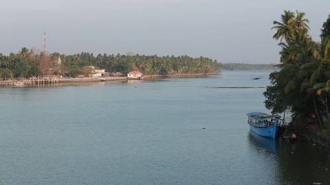 Boat jetty parked on the sides of vast stretch of Kerala backwaters