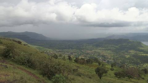 Kaas Plateau Reserved Forest or Kaas Pathar, Maharashtra