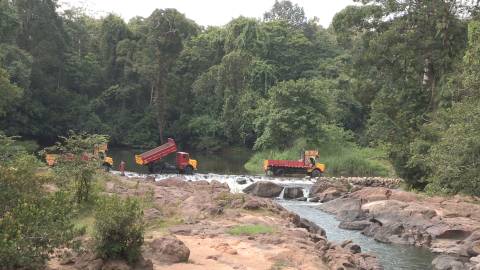 Lorries and trucks parked across river inside jungle