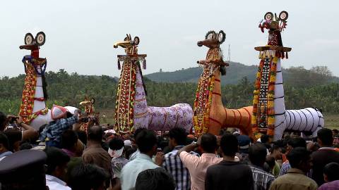 Kuthirakolam or decorated Horse effigies displayed at Machattu Mamangam, Thrissur