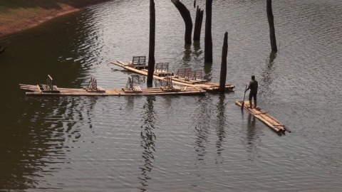 Man rows bamboo raft, Periyar Lake