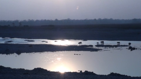 Manas River flows amid setting sun
