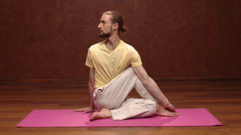 Matsyendrasana Yoga Posture