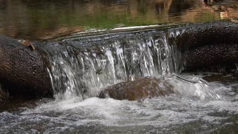 Close up shot of water streaming down, Kerala