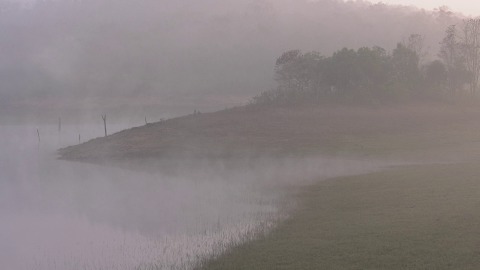 Morning fog enveloping nature