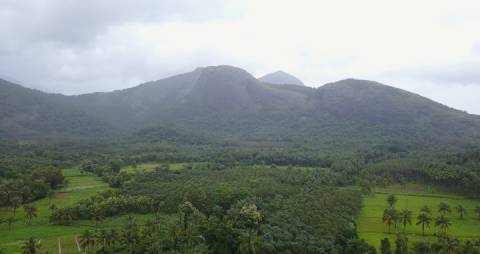 Lush green landscape in Kerala