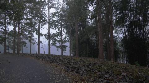 The landscape of Parambikulam, Kerala