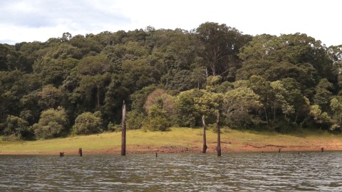 Water flows through Periyar Lake in Kerala