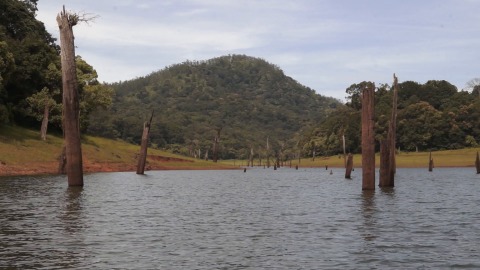 Periyar National Park and Wildlife Sanctuary, Thekkady