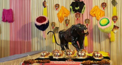 Pulikali costume display, Kerala