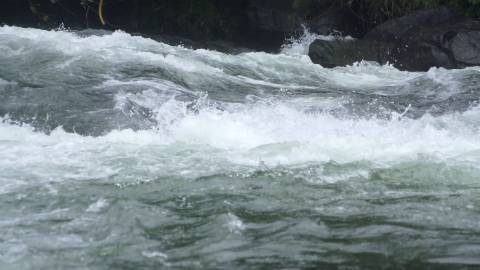 Slow motion shot of a forest stream in Kerala