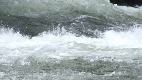 Slow motion video of forest stream, Thrissur