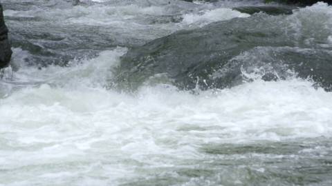 Slow motion video of a river, Kerala