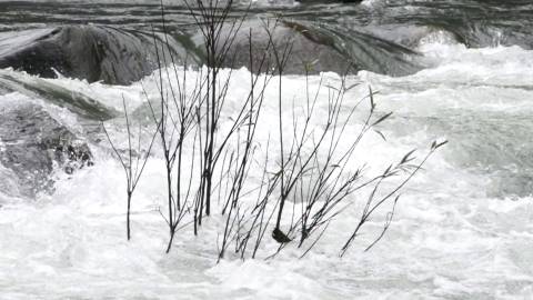 River gushing down a rocky terrain