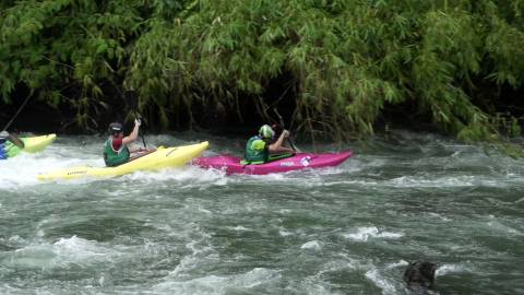 River Kayaking competition, Kerala