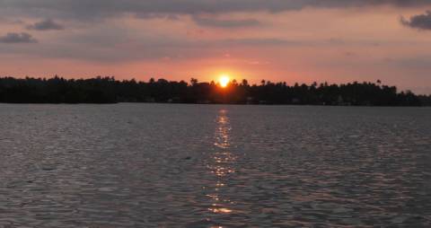 Sunset behind a coconut grove on the Kerala backwaters