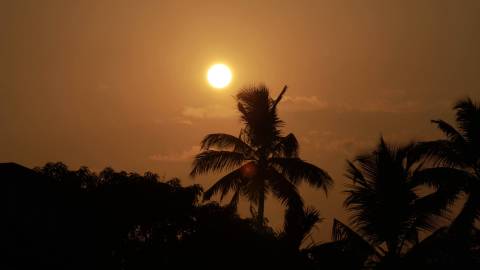 Sunset in Kerala