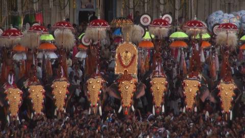 Thrissur Pooram Festival, Thrissur, Kerala